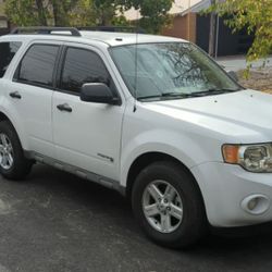 Ford Scape Hibryd 2011