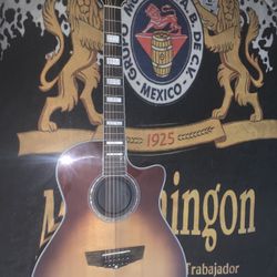 12 String D Angelico Calibrated/ Bridge Doctor