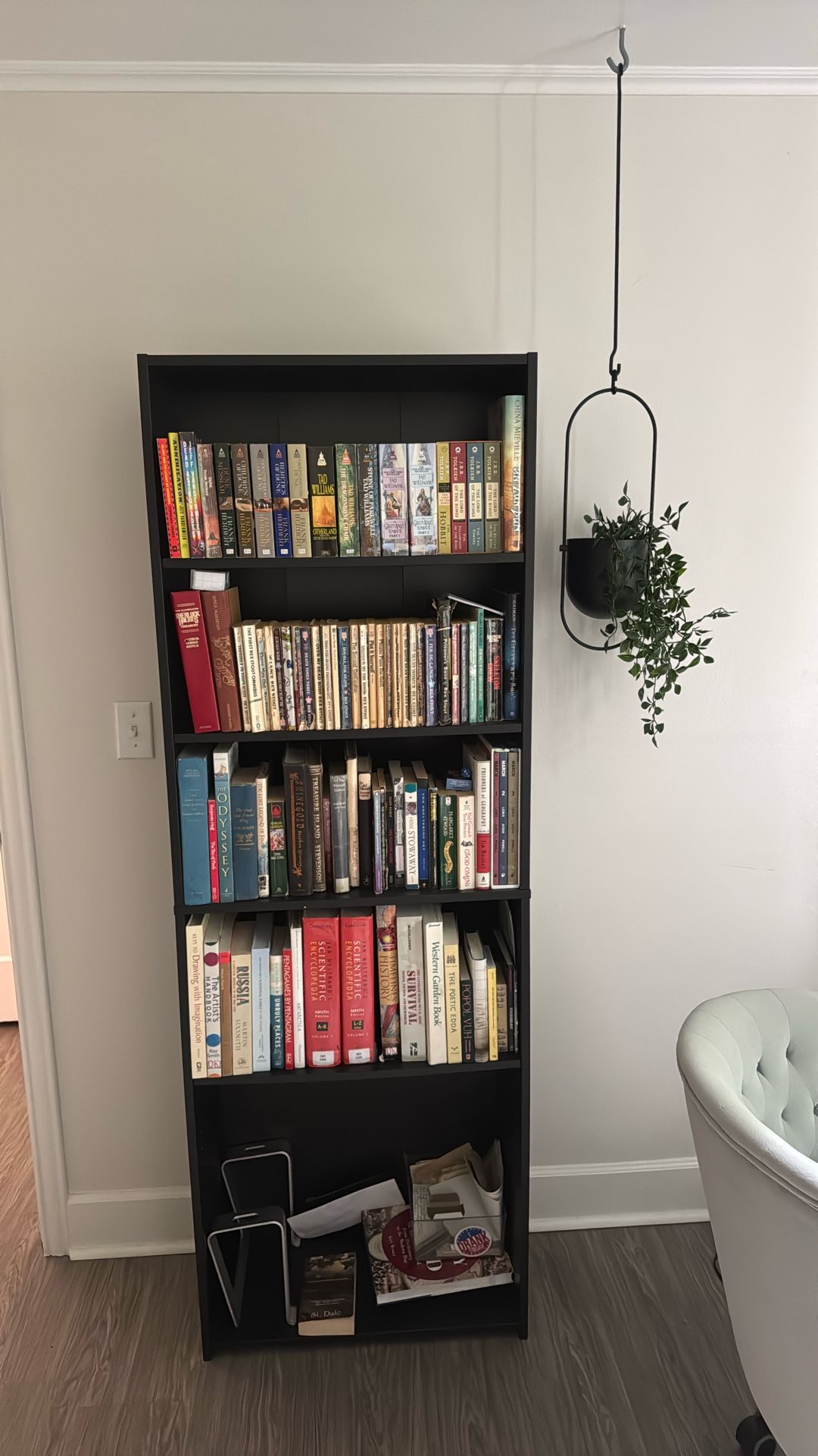 Black wood bookshelves (books not included)
