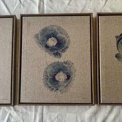 Madison Park Blue Print Botanicals 3-Piece Framed Canvas Wall Art Set. 