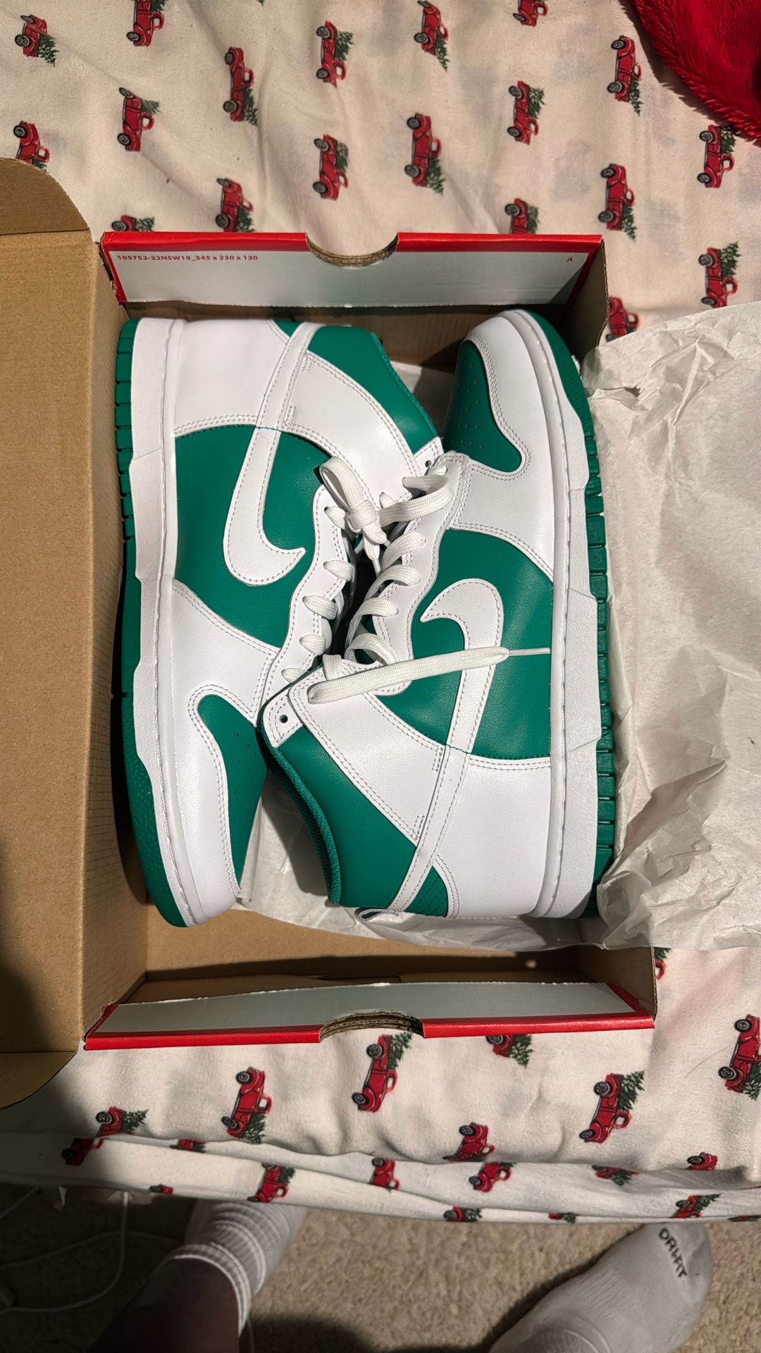 Nike Dunk Hi Retro