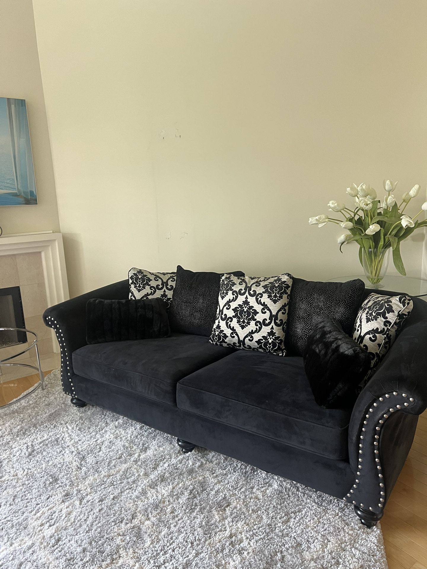 Black Velvet Couch