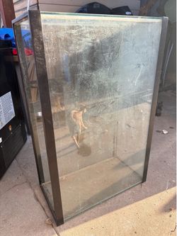 55 Gallon Tank