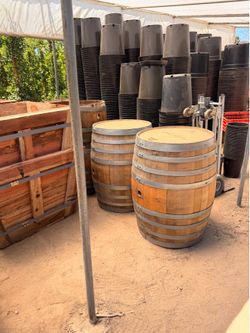 Oak wood barrels