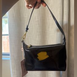 Black Purse/Bag