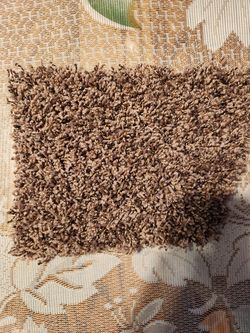 New carpet 7yd