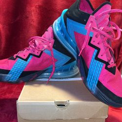 LEBRON XVIII LOW