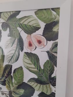 Boho fig poster