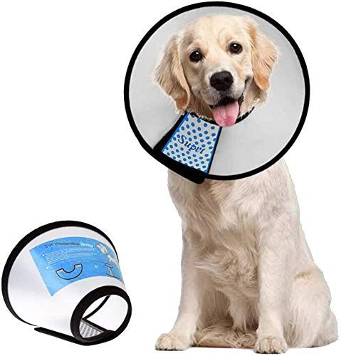 NEW! Pet Cone Collar