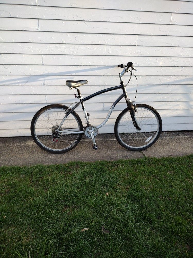 Schwinn Skyliner  Bike 