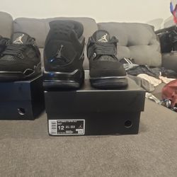 Jordan 4's Black CATS 2016