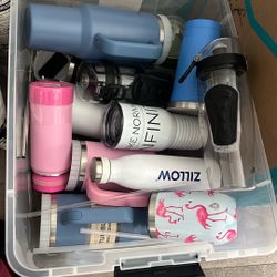 Stainless Steel Cups 