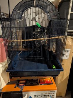 Various bird cages