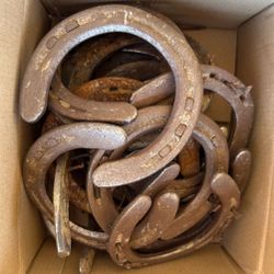 Used Horse Shoes For Sale ¢0.50 Each, 100 Minimum 