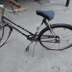 Vintage Bike