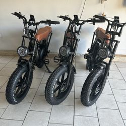Electric Bike 