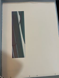 Screen Print