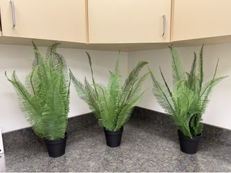 Set of 3 Artificial Fern Plants in Black Pots – Realistic Greenery