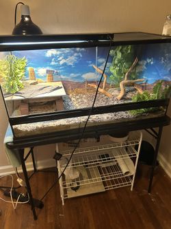 40 Gallon Reptile Enclosure With Lights  
