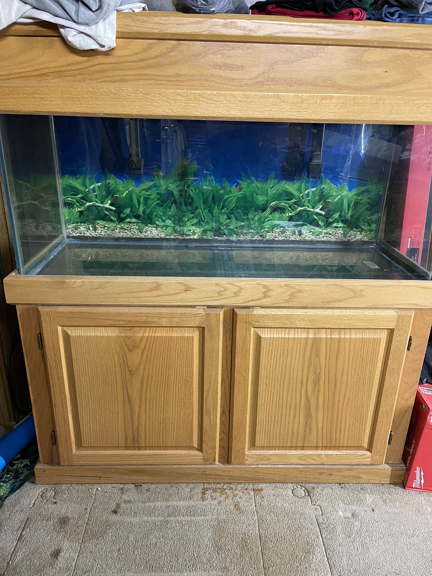 70 Gallon Aquarium With Filters 