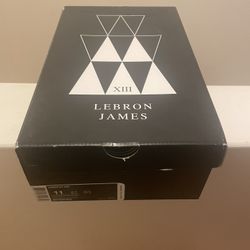 Lebron 13