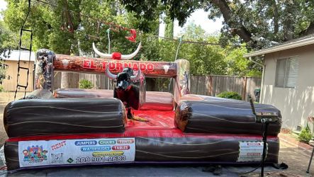Toros de venta