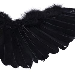 Brand New Real Black Feather Wings