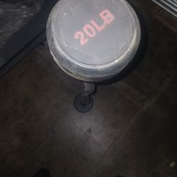 New 20 Lbs Curl Bar