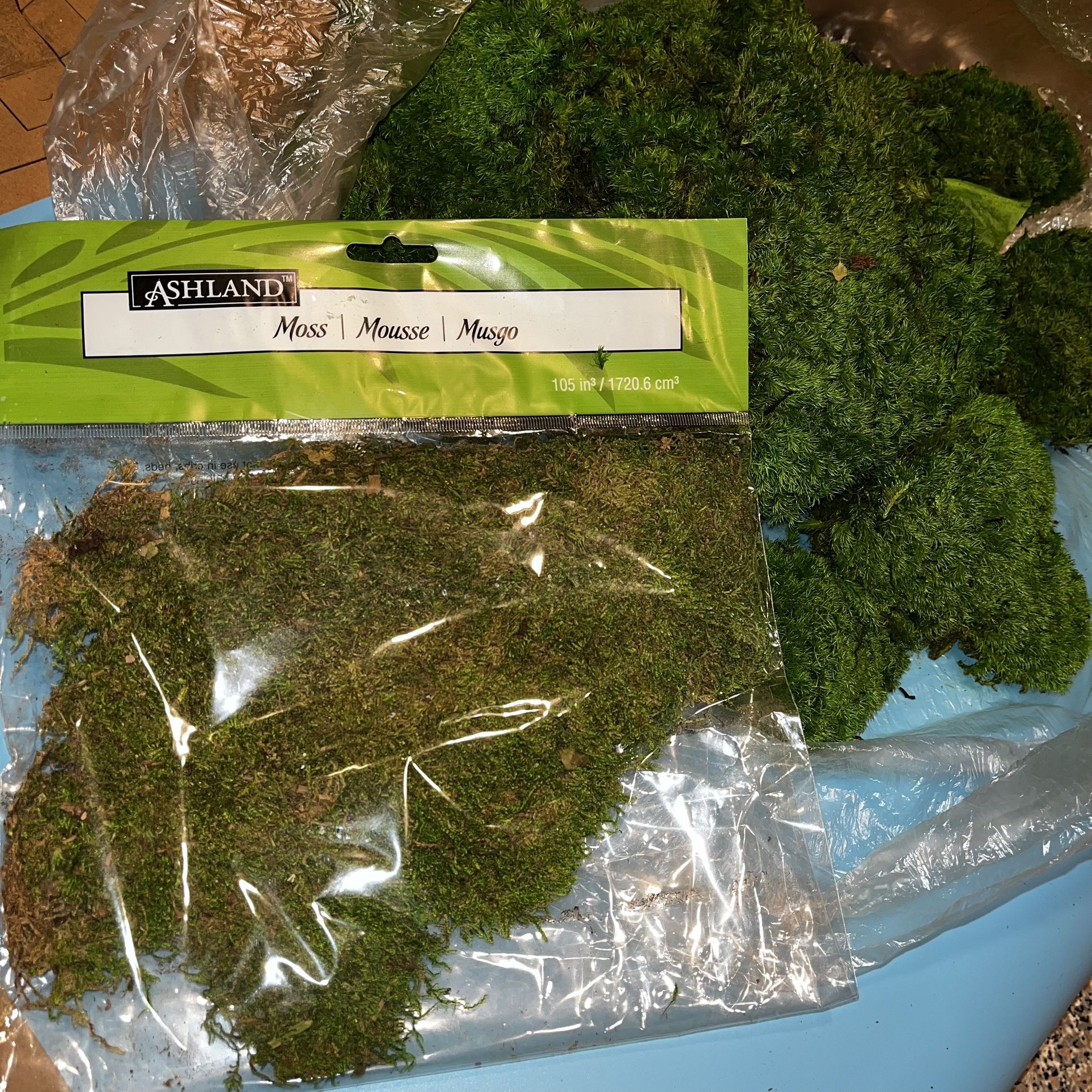 Preserved Moss (free)