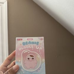 POP MART PUCKY Beanie Bubble UP Series