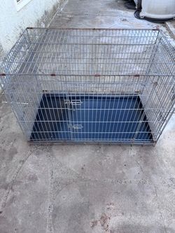 Xl dog crate