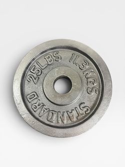 25 LBS Black Cast Iron Weight Plate 2in Diameter