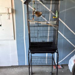Bird Cage For Sale With Stand
