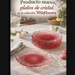 Platos wildflowers Princess House