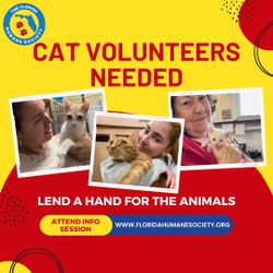 Cat Volunteers Needed – Petsmart Coral Springs
