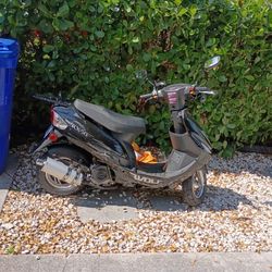 Brand New Scooter For Sale 