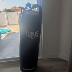 Heavy Weight Punching Bag 