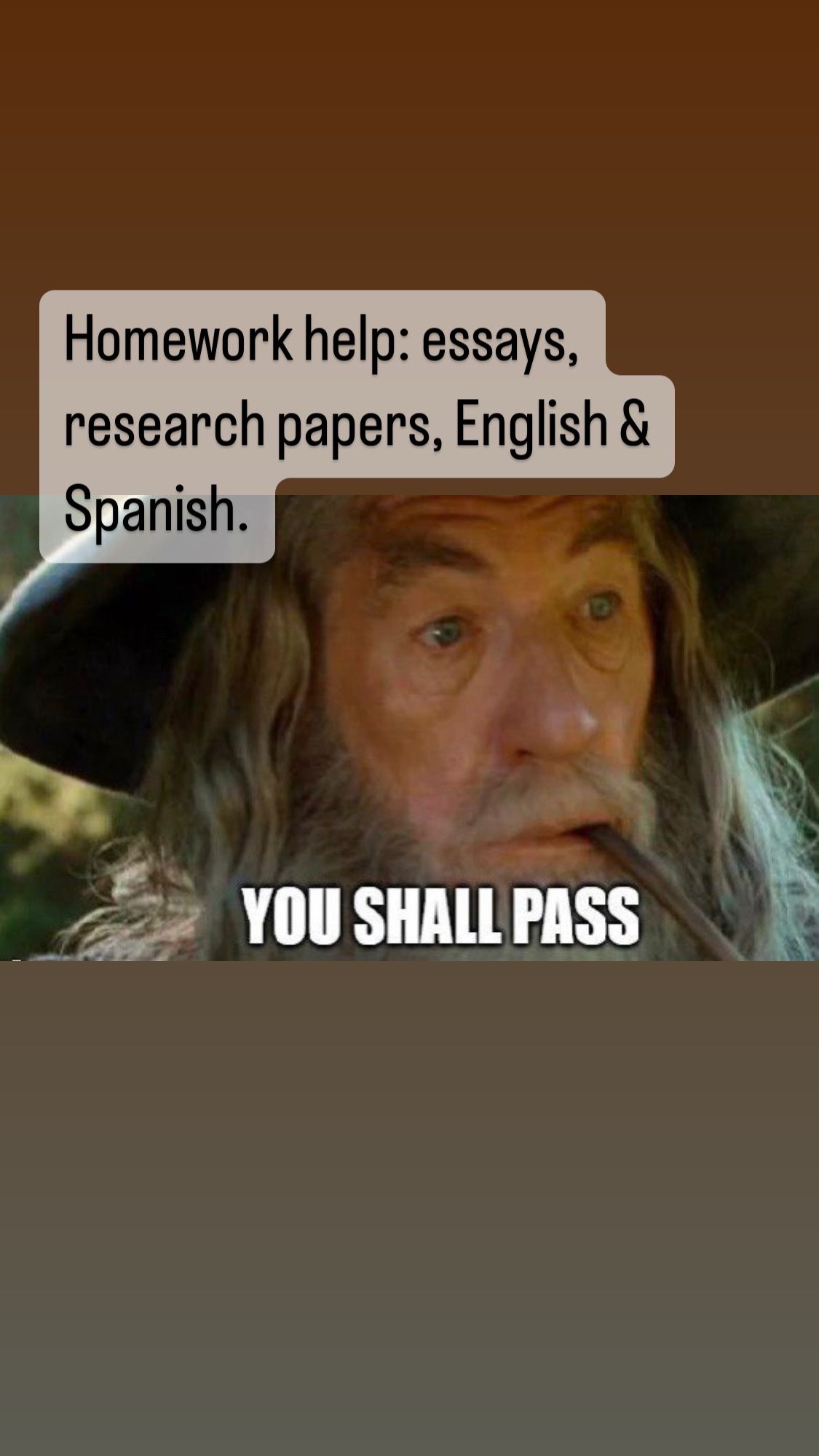 Homework Help Essays Research Tutoring