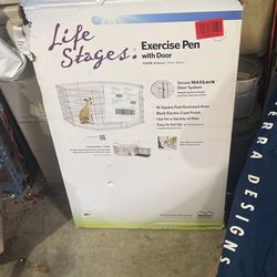 Life Stage Exercise