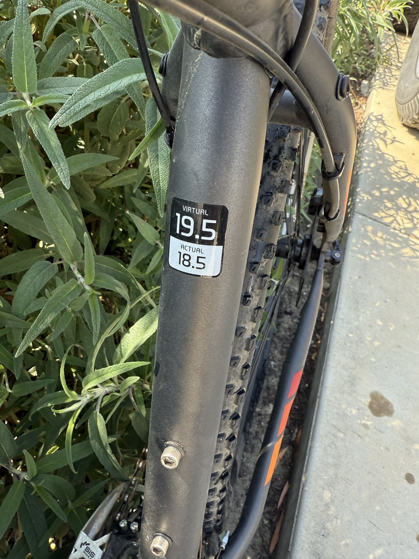 Trek Bike