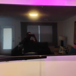 Vizio TV 65" With Mobile Arm Wall Mount