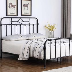 Queen Metal Bed Mattress Not Included