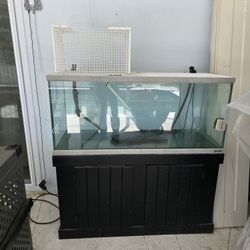 Oceanic 75 gallon tank