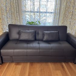 Sealy Leather Soda Bed With Storage