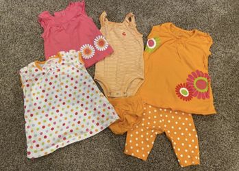 Baby Girl 9 mth mix and match lot