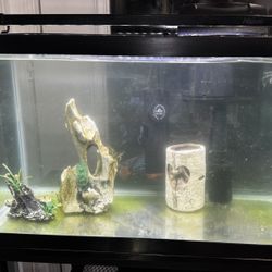 10 Gallon Fish Tank Aquarium 