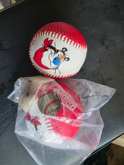 25 Practice Baseballs – Only $10