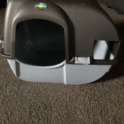 Cat Box