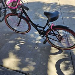 Adult Bike