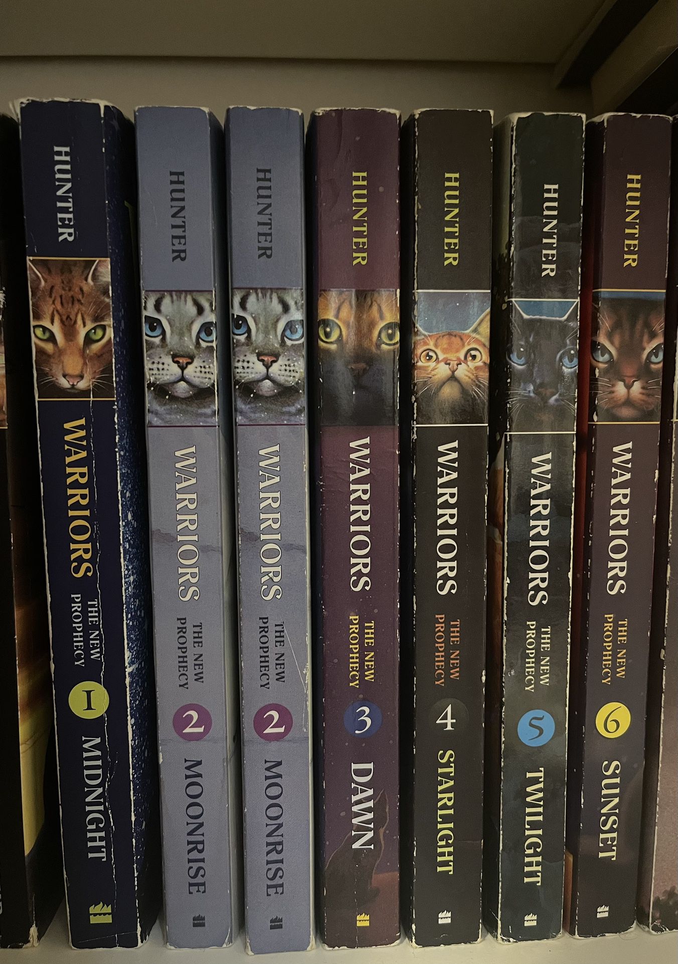 Warrior Cats 2nd Series Paperback